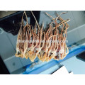 New Frozen dried illex squid hot sale in Thailand